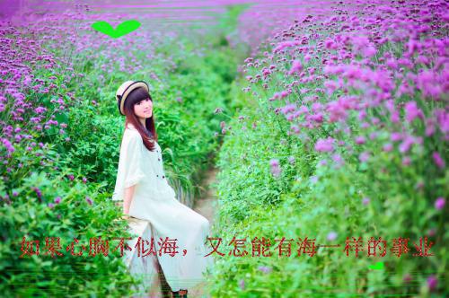 最美的时光遇见你云烟秦臻 最美的时光遇见你小说完本阅读