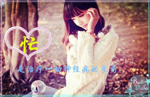 曾见月华流照君池酒酒小说（完整版）阅读