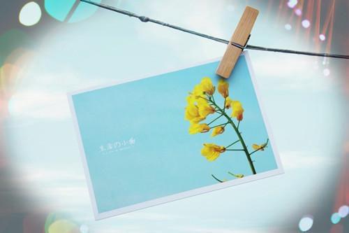 完结文萌宝来袭：靳少宠妻成瘾前文最新章节列表_完结文萌宝来袭：靳少宠妻成瘾前文全文免费阅读（苏明浅靳霆琛）
