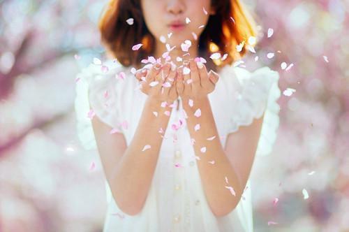 《影帝夫人是只喵》完结小说(全文在线阅读)