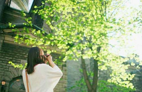 这一夜怎么变成了你的女人花木言小说（完整版）阅读