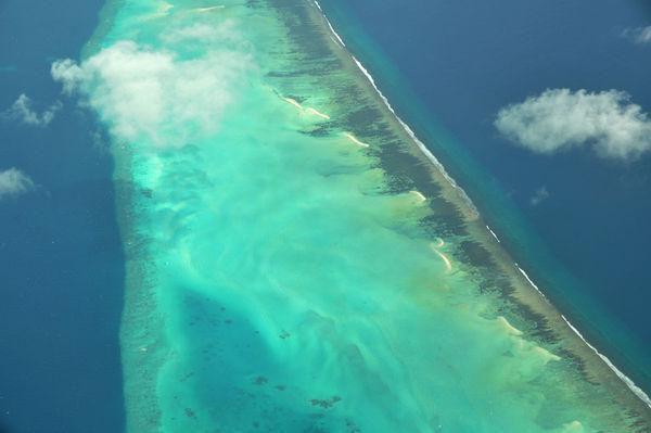 免费小说凰破天下战神将军与我覆海移山by远月全章节阅读