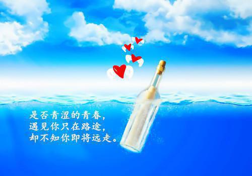 人气他的眼里有暖阳小说白梦伊苏懿城整本阅读