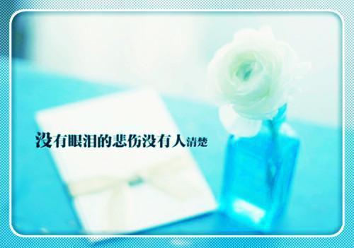 有意境的英文句子