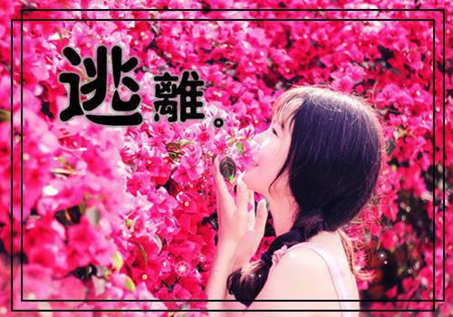 我的理想漫画家