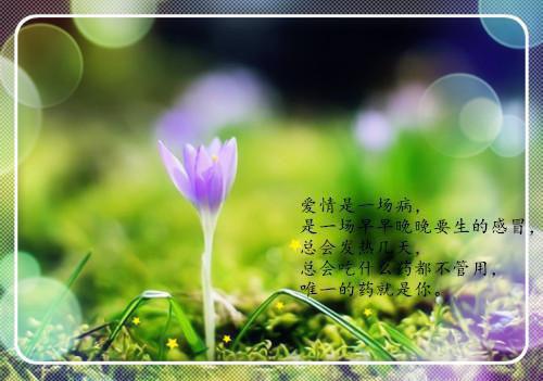 从作曲人到文娱天王观云海最新小说全文阅读