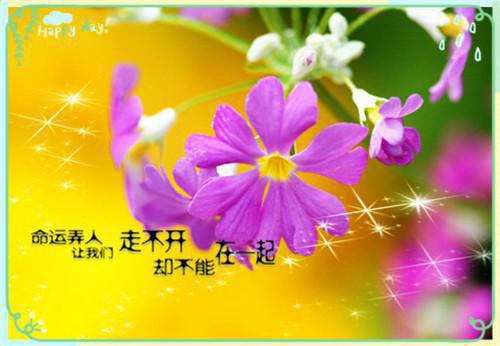 全本免费小说冲喜丑妻是美人池晚晚傅璟寒完结版阅读