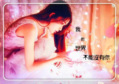 薄七爷，夫人又把你拉黑了懒喵1号小说全章节最新阅读