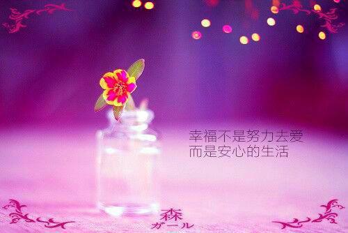 全本小说一睁眼就把男主踹了甄甜,赫晏全文免费阅读