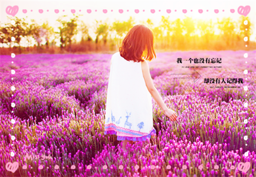 描写梅花的作文
