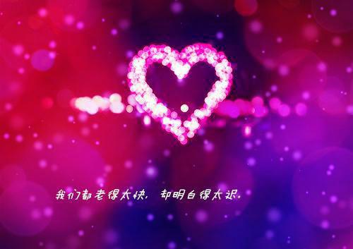 锦衣玉手小说无弹窗项念念白起宣整本阅读