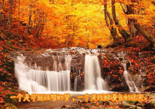 春雷炮写的小说前缘不见君颜小说全本小说阅读