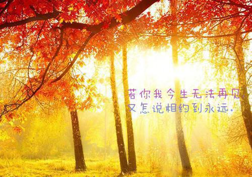 好看的我叫张闲天生煞星小说_我叫张闲天生煞星最新章节阅读