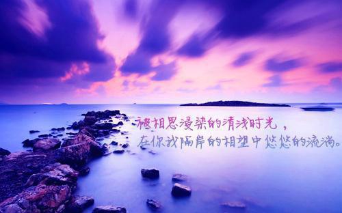 美丽的油菜花作文