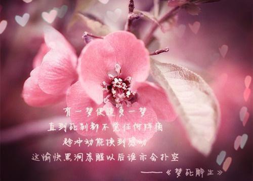 孔子名言大全
