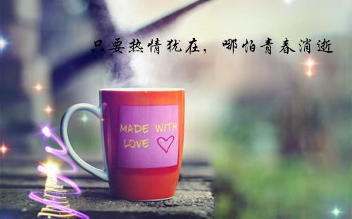 宫少知错求复婚许摘星,宫墨寒最新章节精彩试读