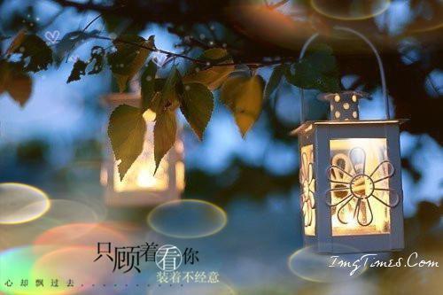 《阿朗的桥》读后感