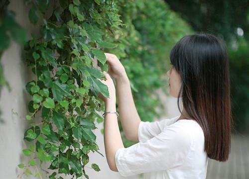 天帝殿秦奉天萧青霜全本小说章节目录阅读