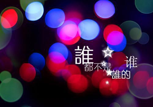 尊龙帝婿小说作者青天鉴叶无归男频全文阅读