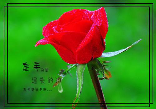 苏蜜厉慎小说 苏蜜厉慎厉少你老婆又跑了全文阅读