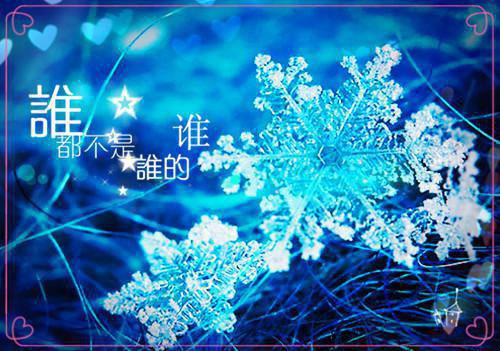 短篇虐恋小说《明月如霜情如雪温怜星夏昱辰》值得阅读品鉴