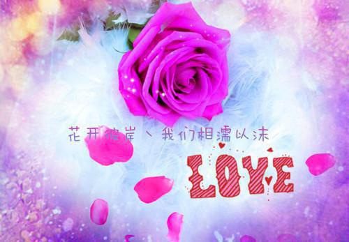 小说嫡女归来：邪王放肆宠许瑟清凤君离完结版全文免费阅读