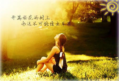 人气小说夫人死后苏少疯了黎萱,苏裴渊免费试读