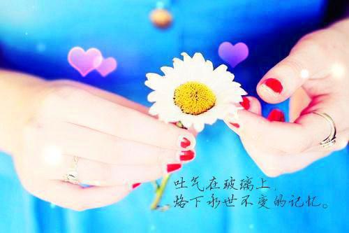 柯雪晴祁瑾年小说全文免费阅读_柯雪晴祁瑾年（柯雪晴祁瑾年）最新章节列表