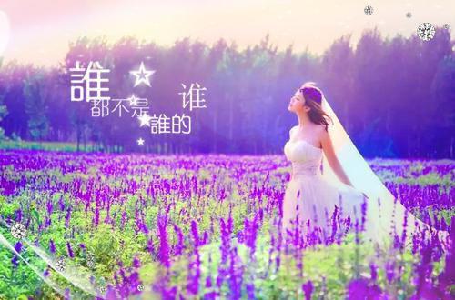你把爱染了酸苏辰俊冷月 你把爱染了酸小说免费阅读