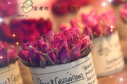 女友生日祝福语大全