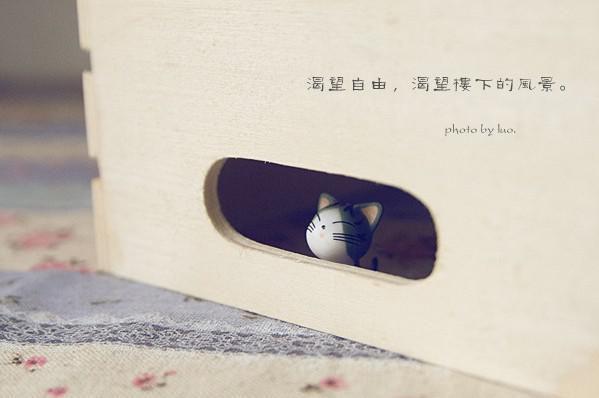 风凌北写的小说万人之上易枫小说全文阅读