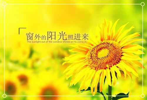 重生下辈子我一定娶你小说顾琴玥墨斌俊全篇阅读