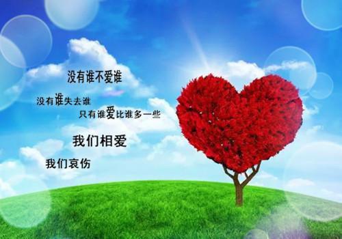 《慕少的调皮小娇妻》完结小说(全文在线阅读)