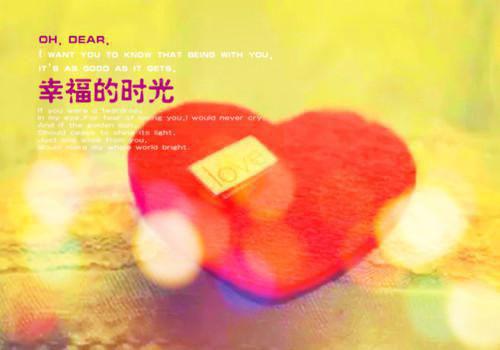 真心话的夫君全本小说（真心话的夫君）全文阅读