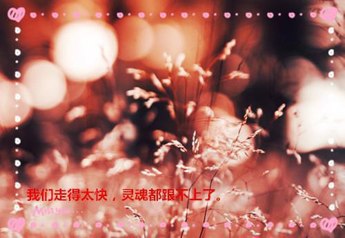 眉间三分雪(徐二毛) 锦年君千城小说全本阅读
