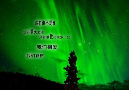 最新暴雨应急预案