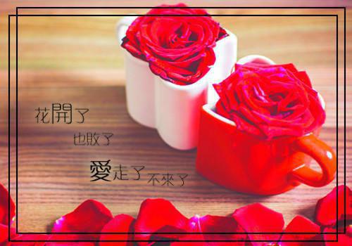 疫苗写的小说姜瓷傅时礼林臻小说全文阅读