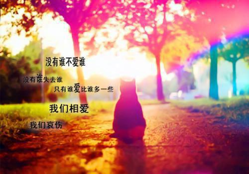 爆款小说心底黑月光全文免费阅读