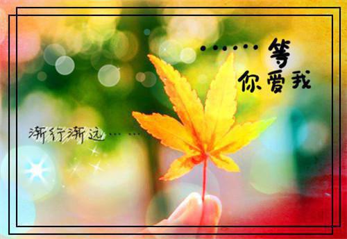 黎久微（怒甩小狼狗后京圈太子爷不装了）全文免费阅读无弹窗大结局_黎久微（怒甩小狼狗后京圈太子爷不装了小说免费阅读）