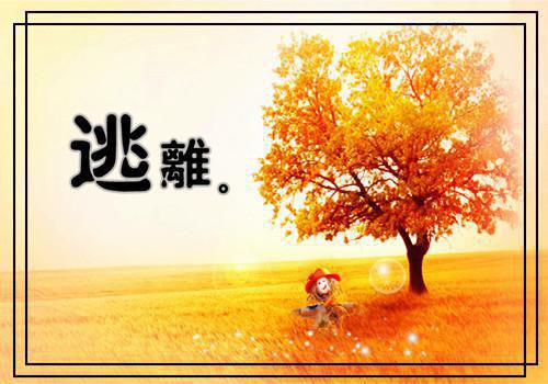 爆款小说陆太太情深不负全文免费阅读