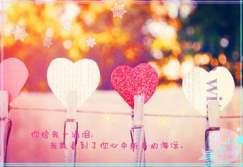 现代魏安禾霍纪棠小说你应该是一场梦精彩阅读