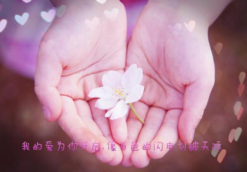 夏如初顾景明小说 顾景明夏如初琥珀恋人免费阅读