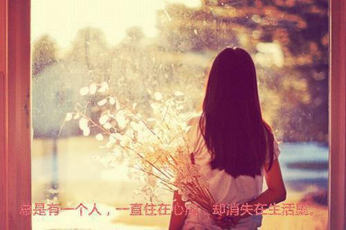 我从未入你眼顾清清江盛卿 我从未入你眼全文免费阅读