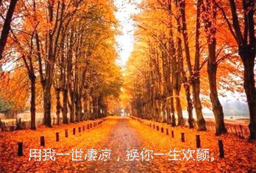 将女惊华将军大人请上榻小说作者顾清秋苏若倾墨绝在线阅读