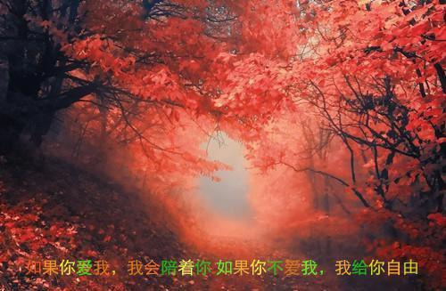 心情不好的个性签名