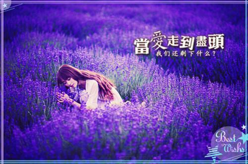[完结]第一龙王全章节阅读