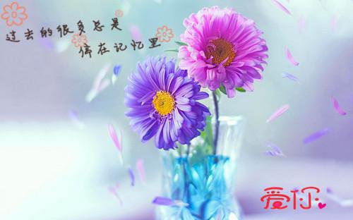 我的御兽带光环宠兽小说主角王浩全集阅读