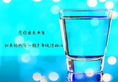 偏偏心动是你叶初棠秦烬夏西全本小说最新阅读
