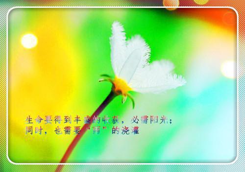 苏宁月谭修逸小说 苏宁月谭修逸免费阅读