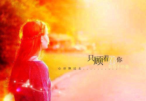 报告娘娘，王爷是满级绿茶小说全文猫狸子免费阅读